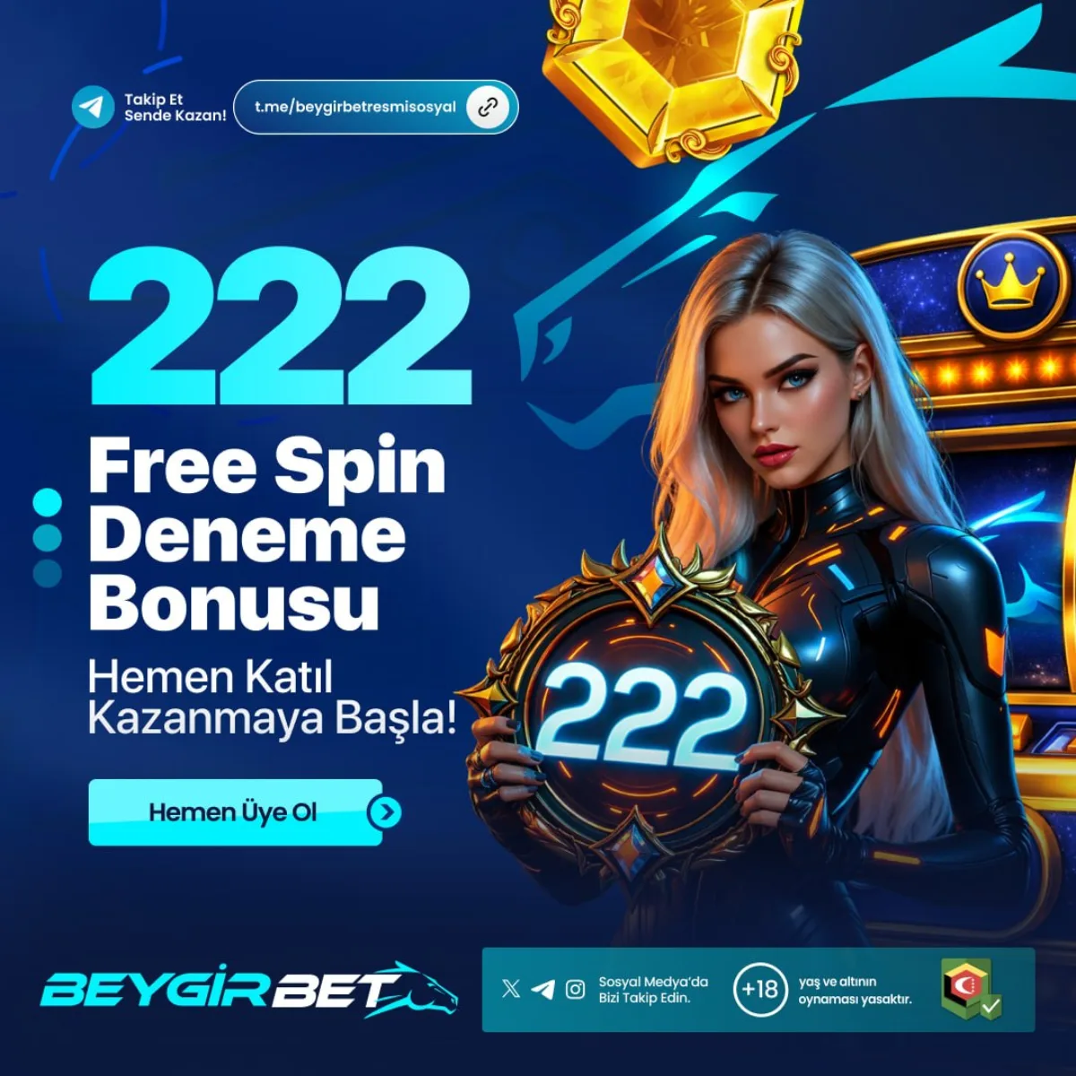 Beygirbett Net yeni giriş adresi