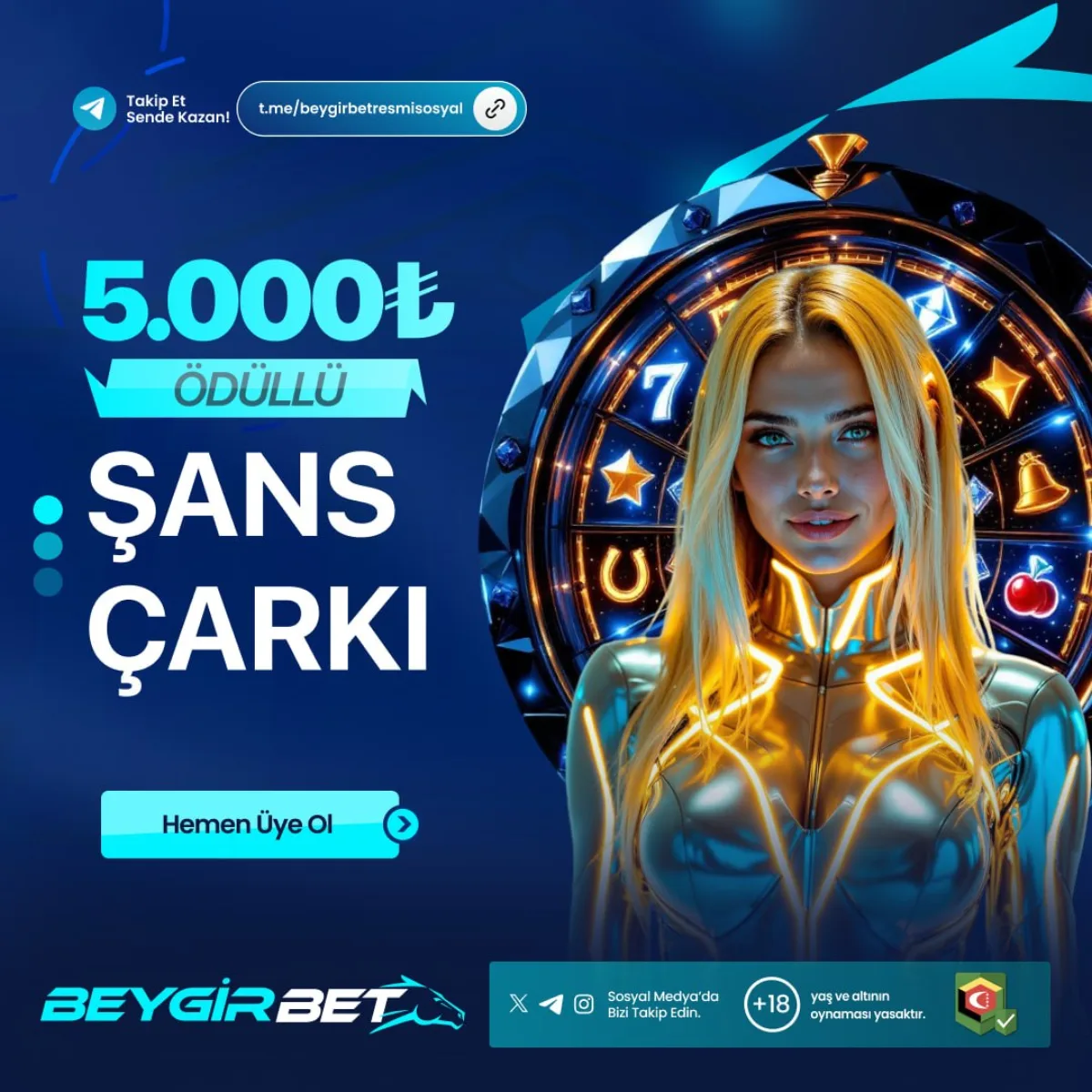 Beygirbett Net yeni giriş adresi